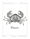 Zodiac: Cancer