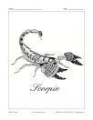 Zodiac: Scorpio