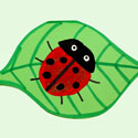Card with a Ladybug