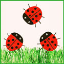 Ladybug Border