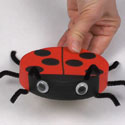 Ladybug made with a Camembert box