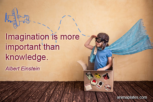 Imagination is more important… | Quote | Animaplates