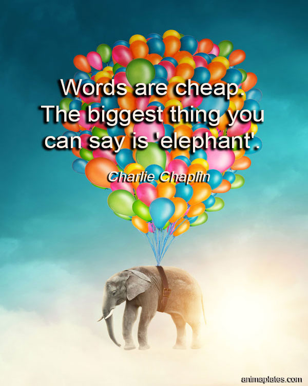 Words are cheap… Animaplates